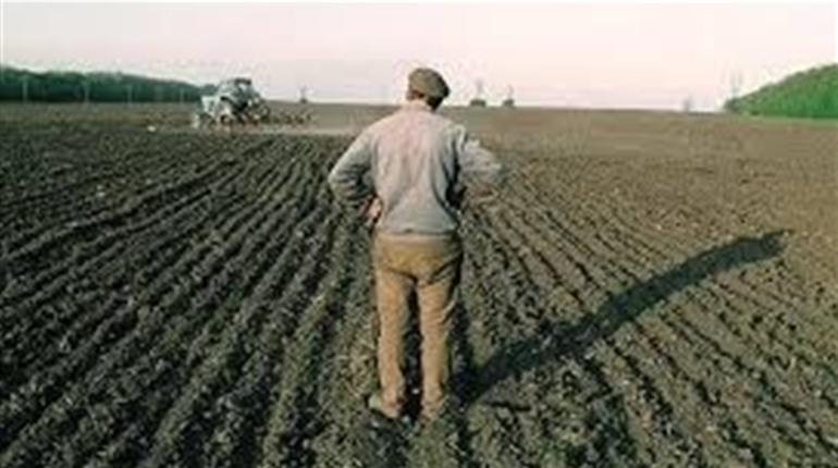Як стати власником земельного паю