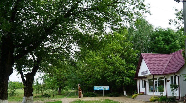 Троє підлітків підпалили 120-річний парк у Біляївці. Інші двоє підлітків - його врятували