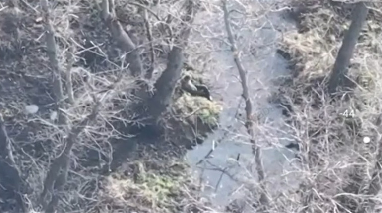 На Херсонському напрямку ЗСУ за тиждень відбили 25 ворожих штурмів