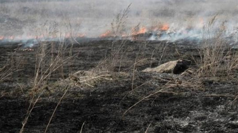 Чортківські поліціянти виявили обгоріле тіло чоловіка