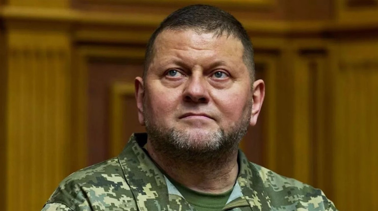 Валерія Залужного ніхто не звільняв, але ми зібрали меми про фейкове звільнення