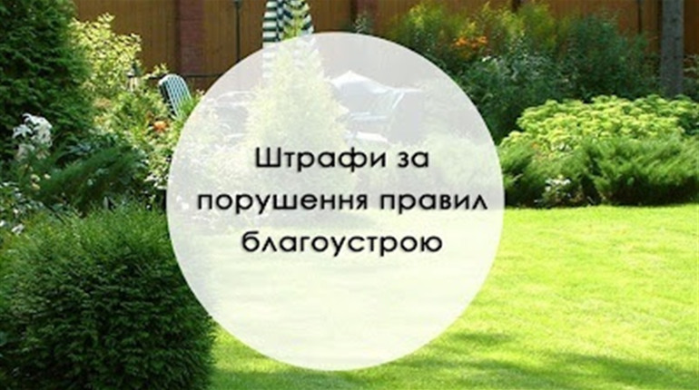 У міськраді опублікували "Правила благоустрою" та вказали штрафи за їх порушення