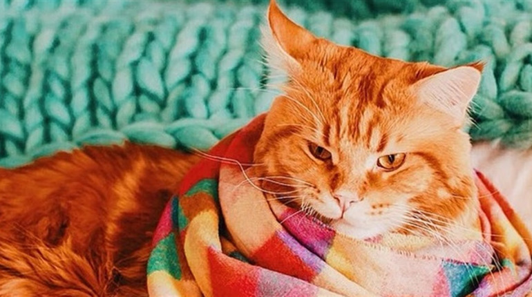 Погода на лівобережжі Херсонщини з 5 по 7 грудня: прогноз Українського гідрометеоцентру