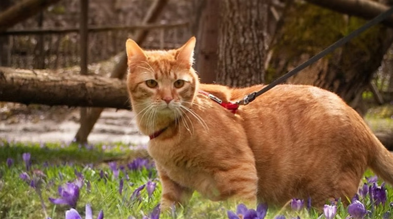 Погода на лівобережжі Херсонщини з 14 по 16 березня: прогноз Українського гідрометеоцентру