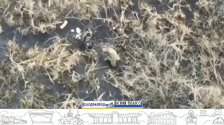 У Вараському районі прикордонники дроном знайшли блукачів
