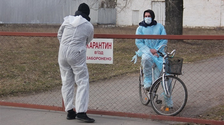 У Пикові спалах африканської чуми свиней:у місцевому господарстві знищать все поголів’я свиней