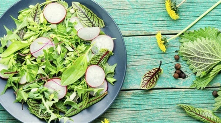 Не бур’ян, а делікатес: їстівні дикороси весни