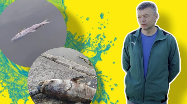 Чому загинула риба на Веселій Іванівці: пояснення рибалок