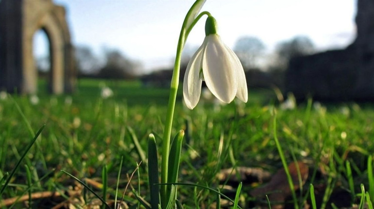 На вихідних на Сумщині - до плюс 14 та без опадів: прогноз погоди