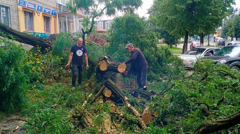 Як у Шосткинській громаді ліквідовують наслідки буревію