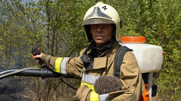 ​​​​​​​На попелищі свідомості: рекорд пожеж на Первомайщині як дзеркало національної біди
