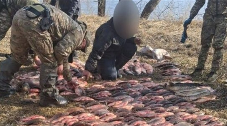 Збитки понад мільйон: на Золотоніщині викрили масштабне браконьєрство у заказнику