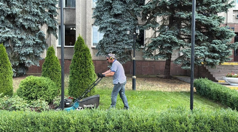 Міські луки проти спеки: як зміна клімату повинна змінити підхід до озеленення