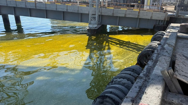 Розлив олії у Чорноморську через ворожу атаку: якими будуть наслідки для екології