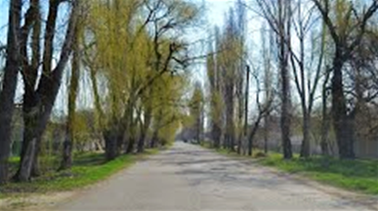 Це не жарти: у Біляївці з-під дороги вкрали дренажну трубу, могла статися аварія  
