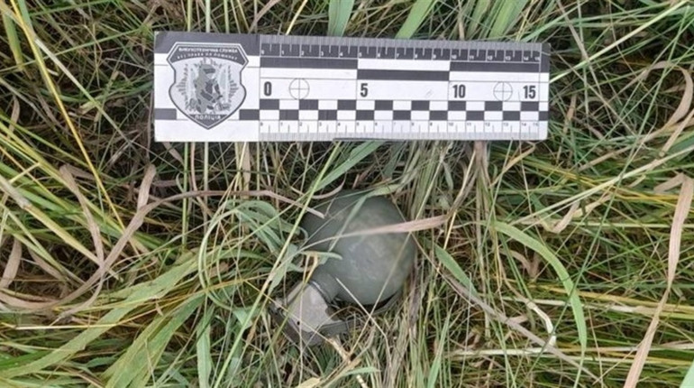 На Черкащині службова собака виявила гранату