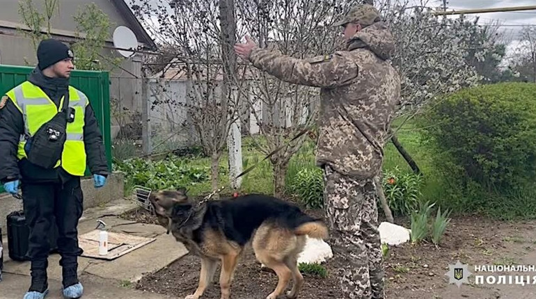 Балаклави і стяжки: подробиці розбійного нападу на лікарів у Ізмаїлі