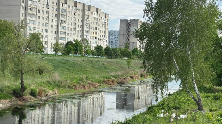 Радіаційний стан навколо Хмельницької АЕС за минулий тиждень
