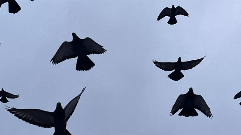 У Первомайську попрощалися із загиблим захисником України Романом Салабаєм