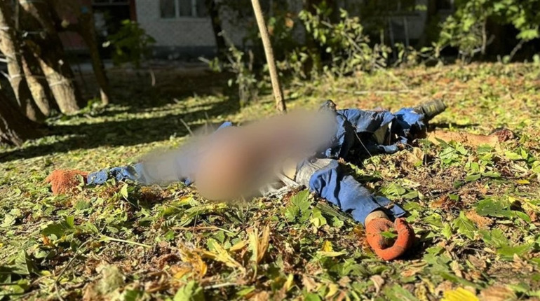 Обрізав дерева: у Херсона загинув комунальник