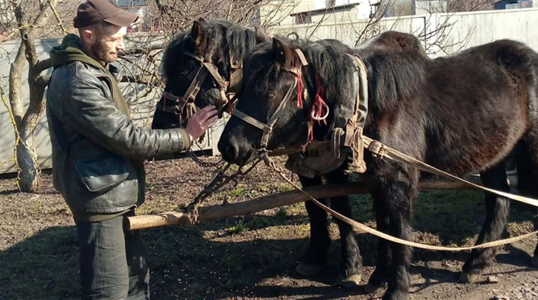 «Екзотика» на міських вулицях…