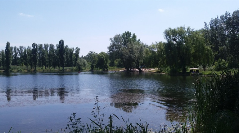 Пішов купатися і втонув: на Графському озері втопився 23-річний хлопець