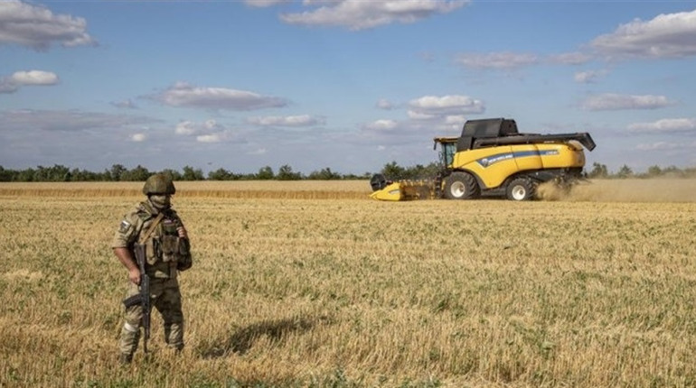 РФ продовжує вивозити агропродукцію з лівобережжя Херсонщини
