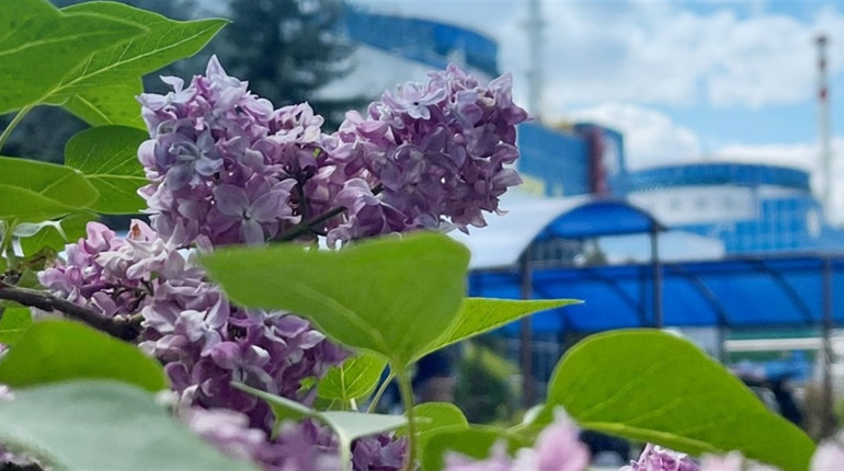 Радіаційний стан навколо Хмельницької АЕС за минулий тиждень