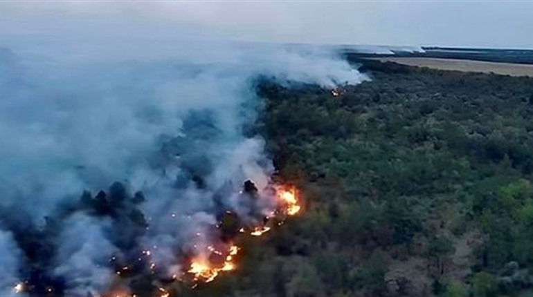 Шостка вночі задихається від диму: наслідки ворожих обстрілів, через які горять ліси