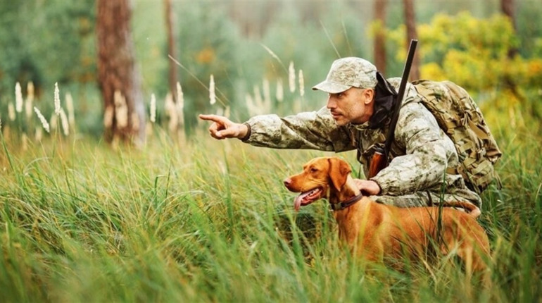 Передсезонна діагностика: як підготувати спорядження для полювання до активної експлуатації
