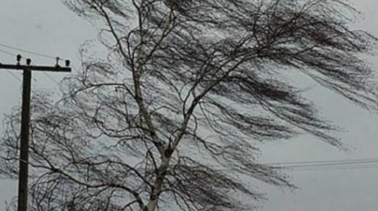 В Ізмаїлі готуються до негоди: на 17 лютого прогнозують погіршення погодних умов