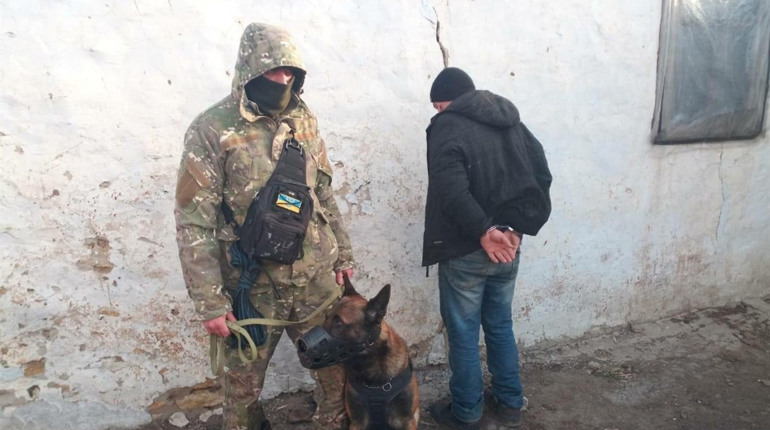 Херсонський «Комісар Рекс» затримав серійного крадія. Розповідаємо про поліцейського пса Лаккі