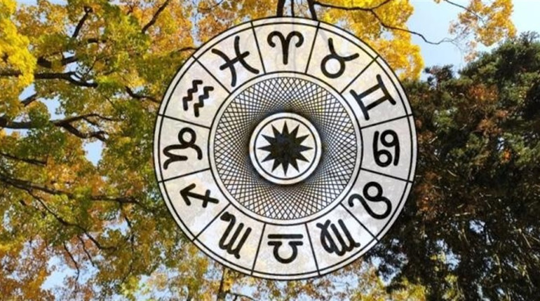 Гороскоп на тиждень з 3 по 9 листопада 2025 року: що зірки нам приготували