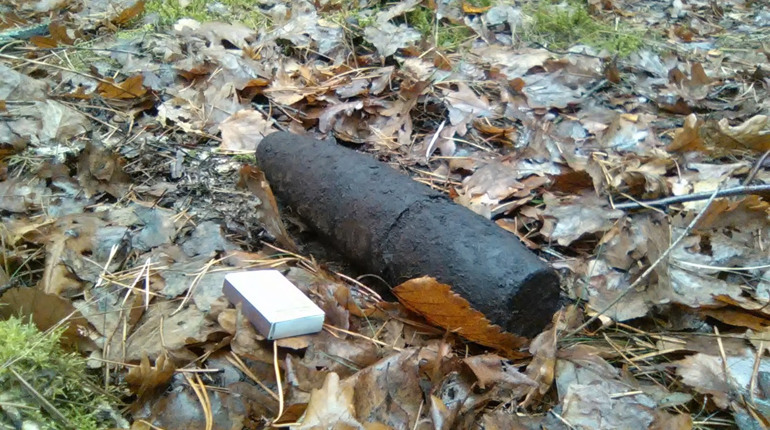 У лісі біля села Балаховичі піротехніки знешкодили артилерійський снаряд часів Другої Світової війни