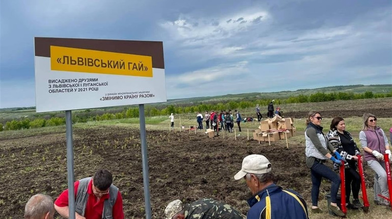 У Сватівському районі тепер є два «Львівські гаї»: у них висадили близько 10 тисяч саджанців сосни