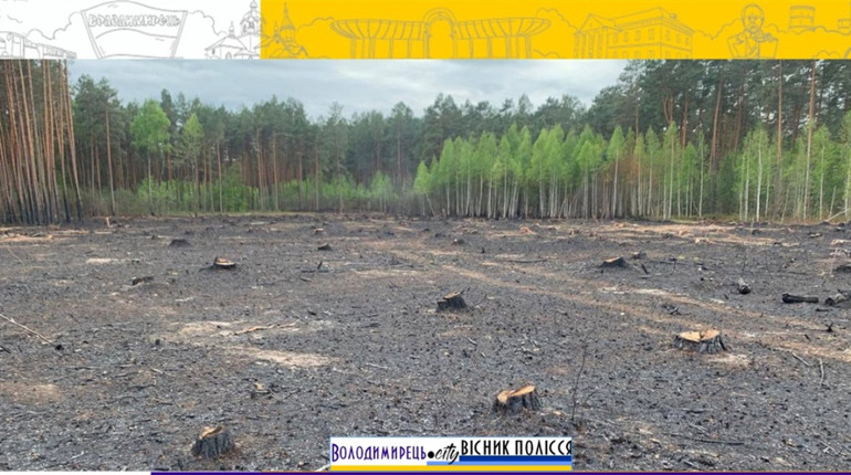 За лісову пожежу в Цепцевицькому лісництві порушника оштрафували екоінспектори