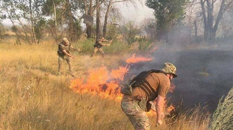У пожежах на Луганщині зафіксовано 24 осередки займання: що відомо на ранок 3 вересня