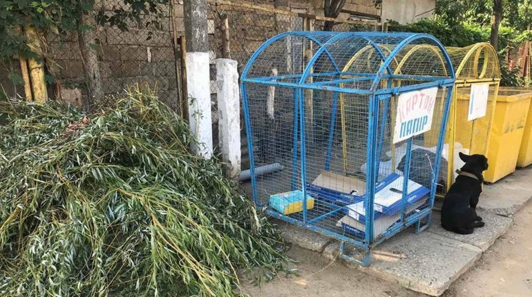 У Біляївській громаді нагадують про сплату за вивіз сміття: як розрахуватися