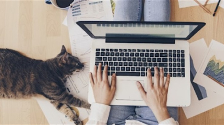 Фріланс-біржі в Україні: як змінився ринок і де сьогодні вигідно працювати