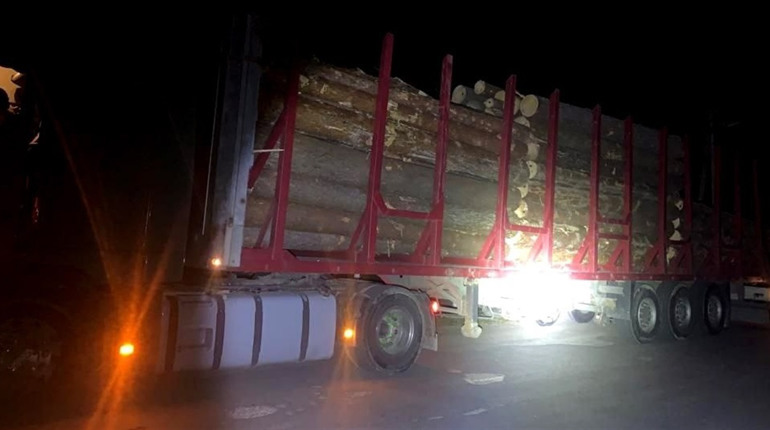 У Сарненському районі зупинили 24-річного перевізника нелегальної деревини