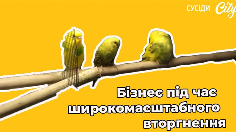 «Платили і чекали, чи доїде товар». Власниця зоомагазину в Мені Наталія Ступак про свій бізнес