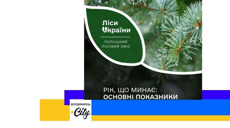 Поліський лісовий офіс прозвітував за 2023 рік - що цікавого?