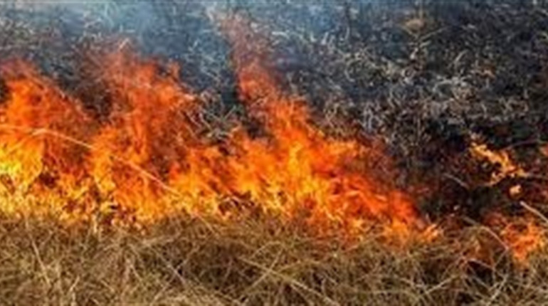 У Білопільській громаді горіла суха трава
