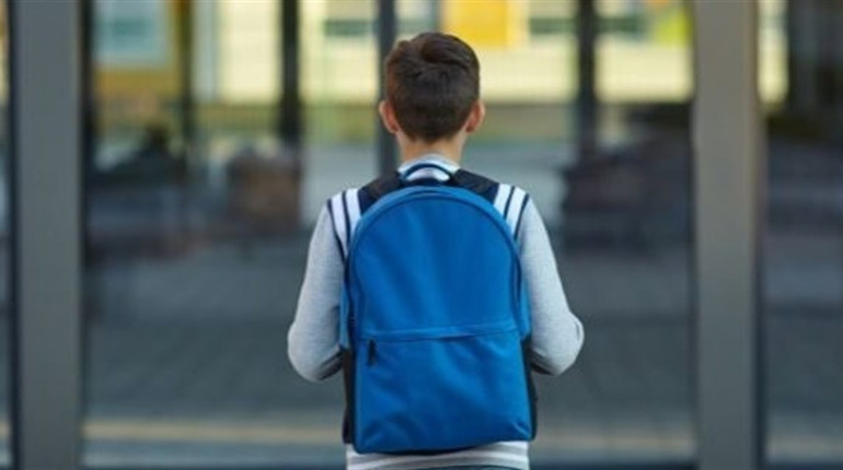 Відеокамери та металодетектори: як працюватимуть нові правила безпеки у школах