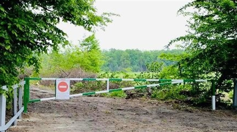 Заборона відвідувати ліси на Гадяччині триває