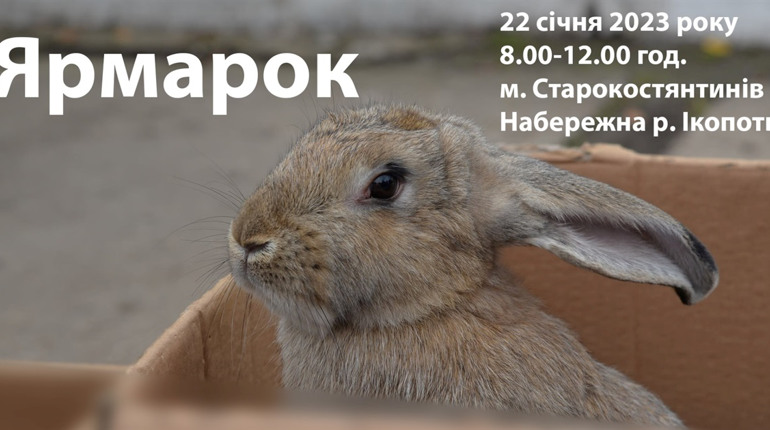 У Старокостянтинові проведуть ярмарок твариництва, птахівництва та сількогосподарської продукції