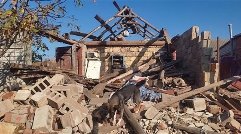 Як жительки Старого Салтова пережили окупацію, рятували тварин та саджають квіти у своєму дитсадку