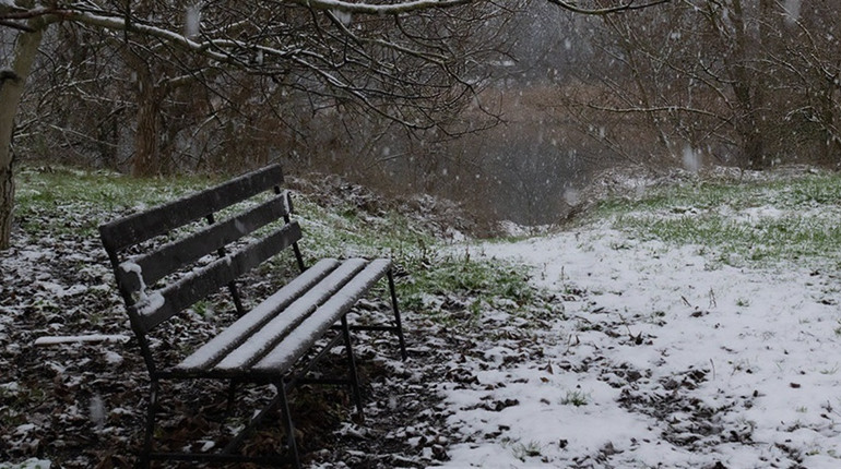 А ось і перші серйозні заморозки. На Миколаївщину суне похолодання: прогноз синоптиків
