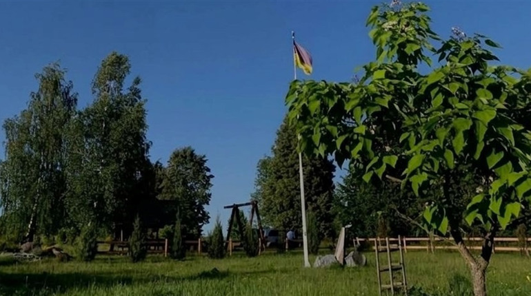 "Бузкове озеро" і висадка лип в Парку Пам'яті Нескорених: 4 квітня звягелян запрошують на толоку