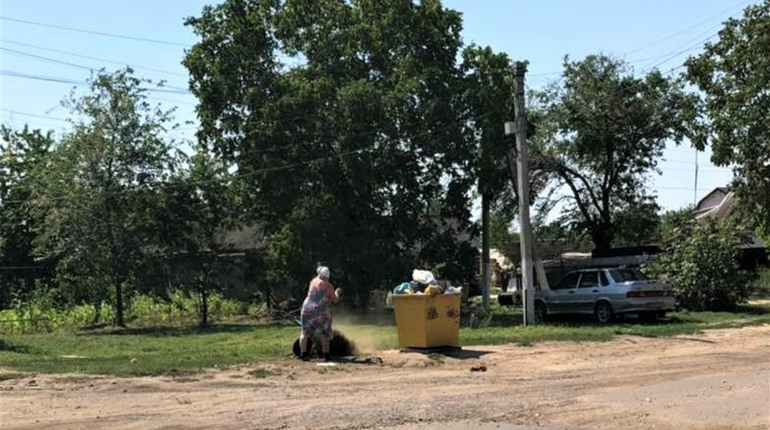 Інспектору в поміч: біляївці фотографують тих, хто вивозить бур’яни з дому до міських контейнерів